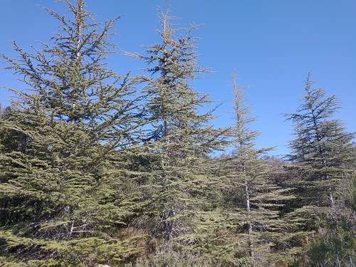 IMG 20230214 114824561