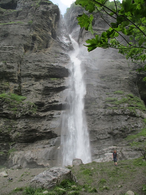 IMG 2534