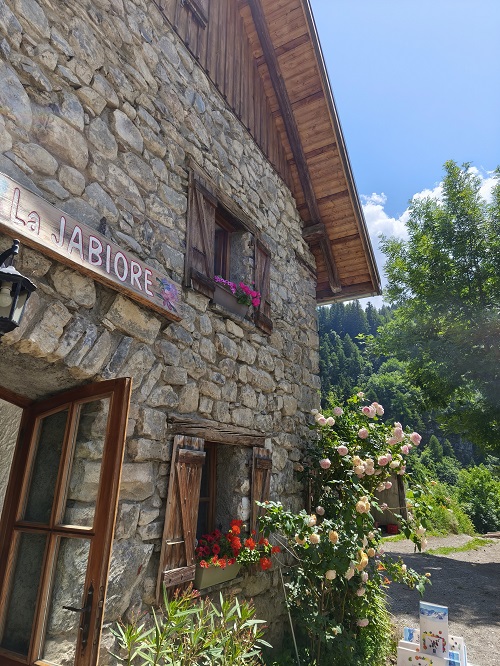 IMG 20250704 141643