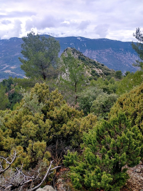 IMG 20250209 113614272 HDR2