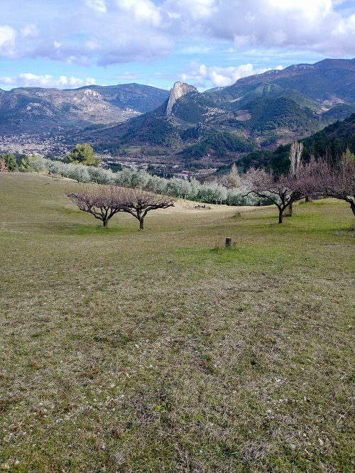IMG 20250209 1325089552