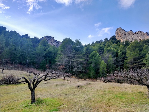 IMG 20250209 132559199 HDR2
