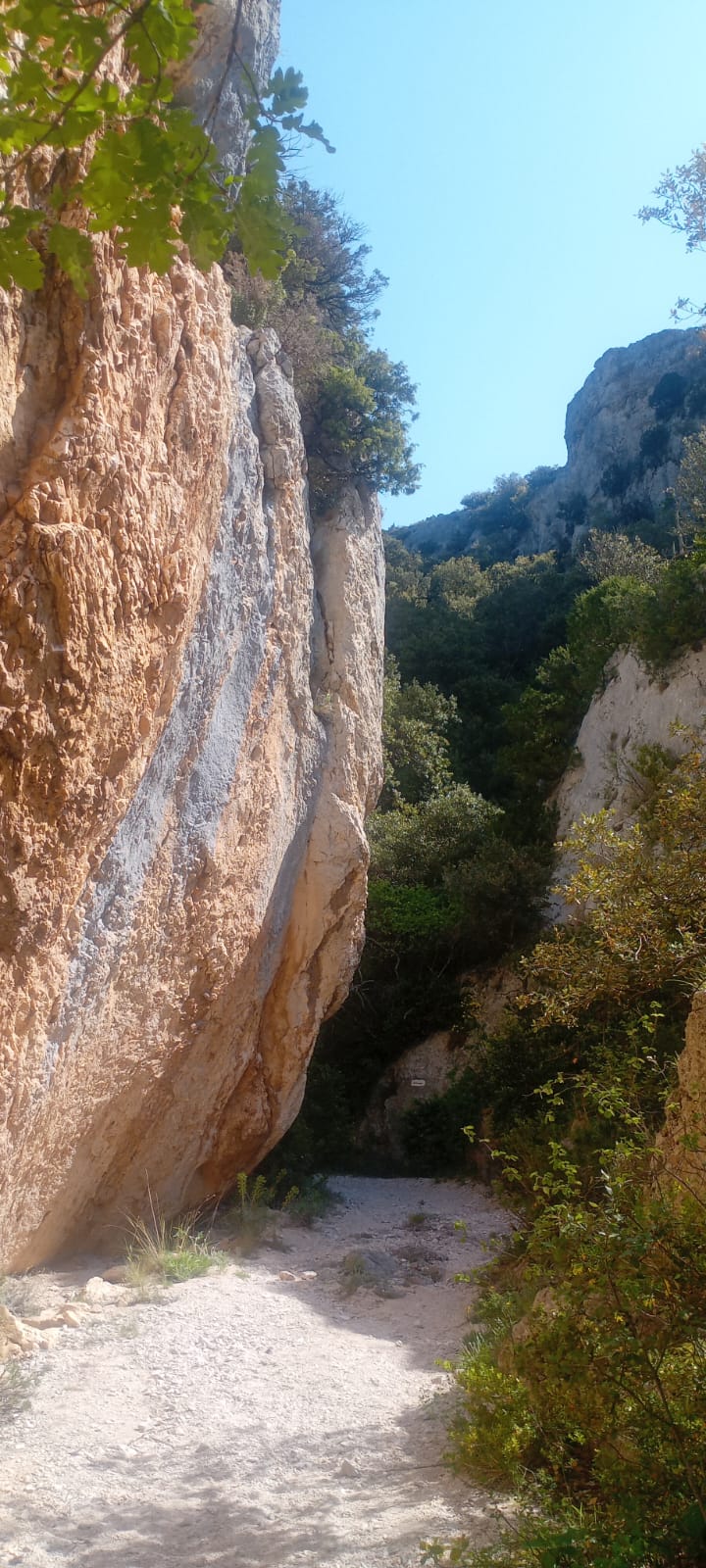 WhatsApp Image 2026 04 30 at 19.09.20