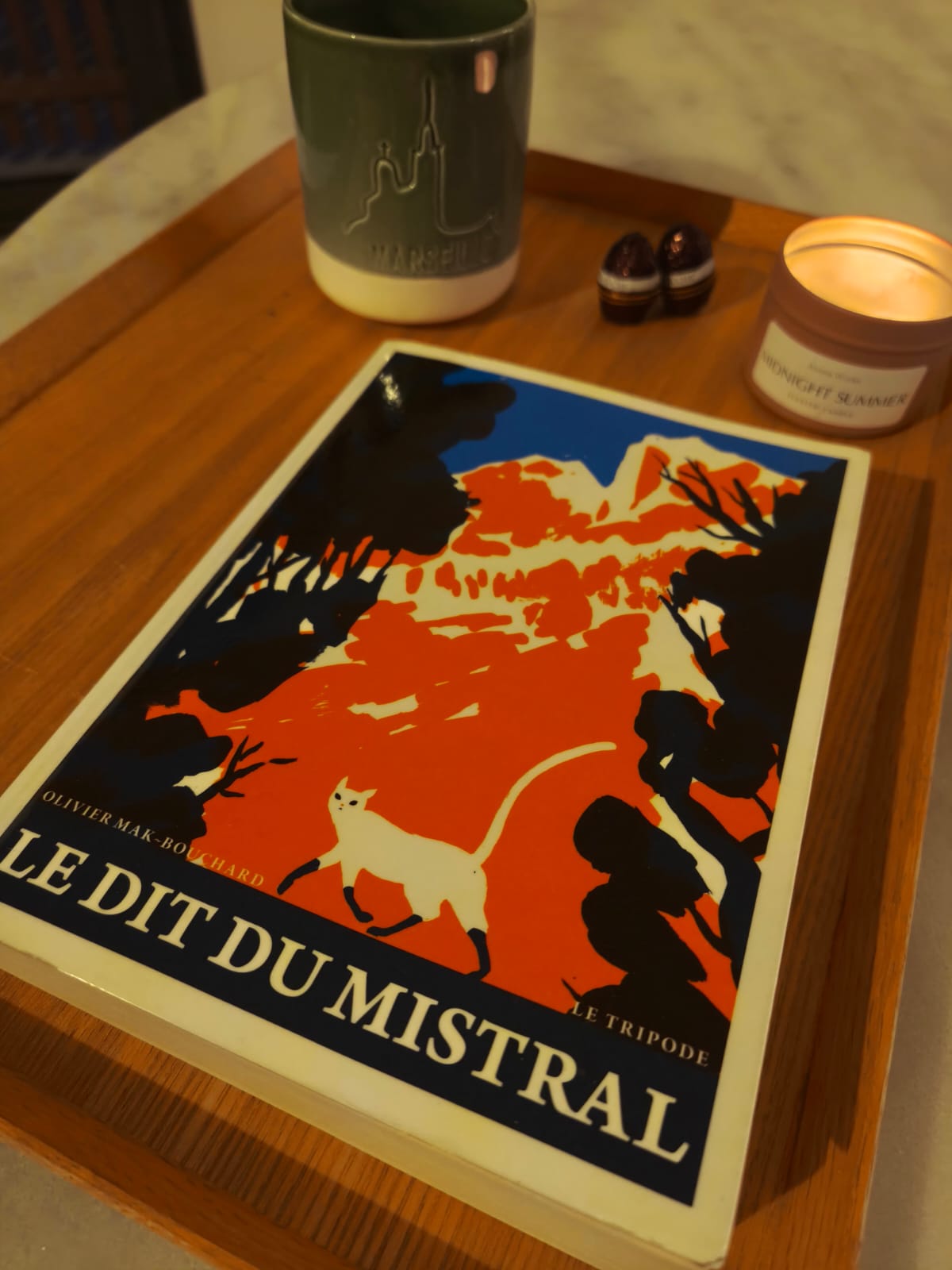 WhatsApp Image 2026 04 06 at 21.54.57