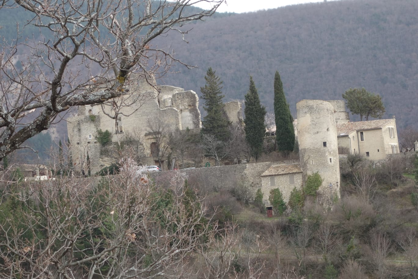 WhatsApp Image 2026 03 8.07.39