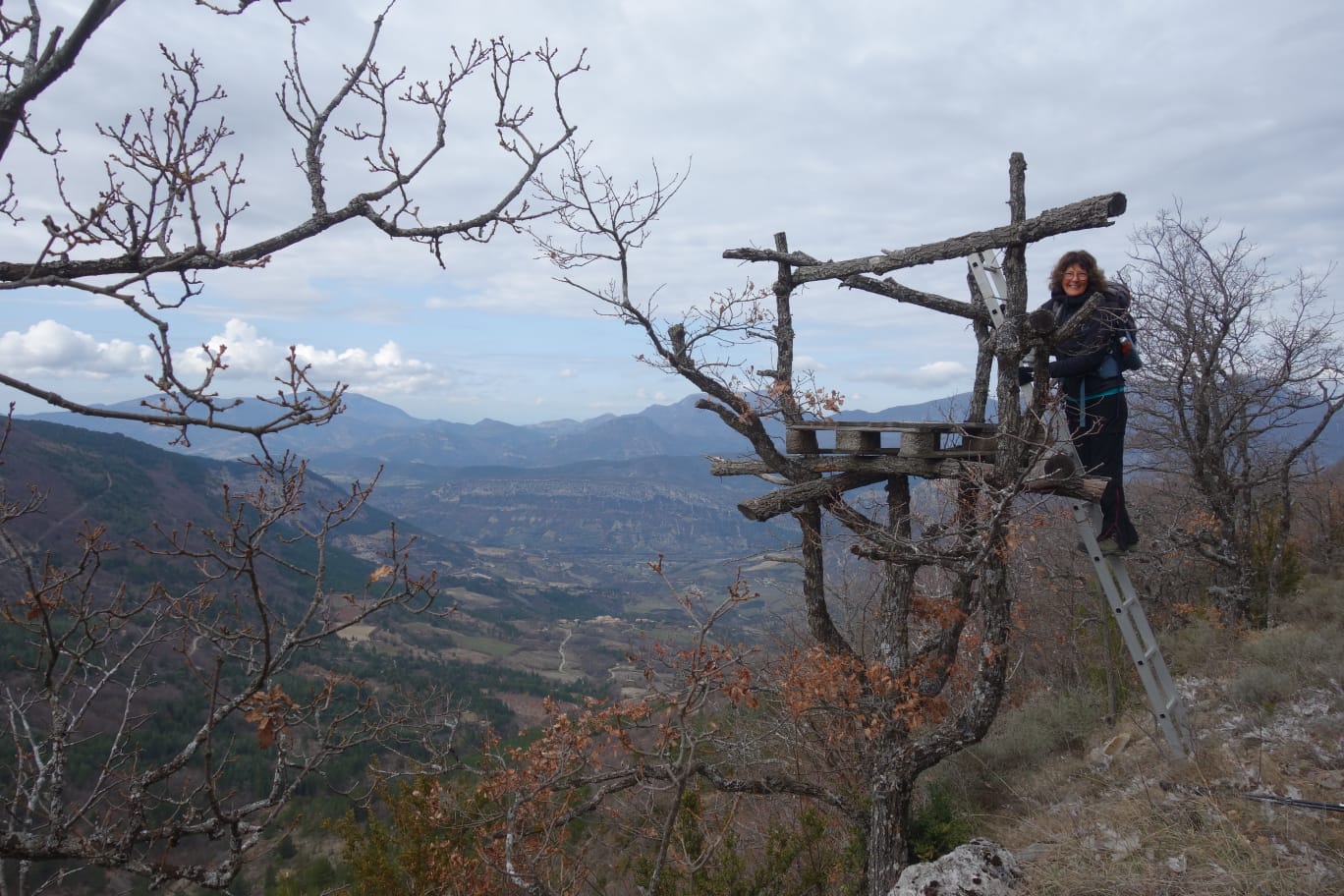 WhatsApp 03 01 at 17.40.12