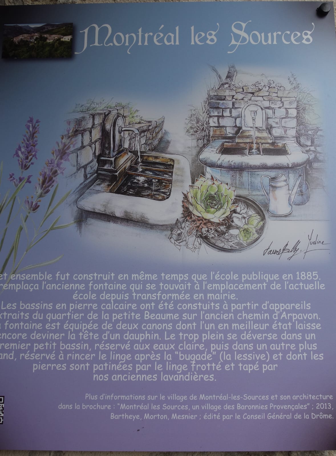 WhatsApp Image 2026 03 01 at 17.40.08