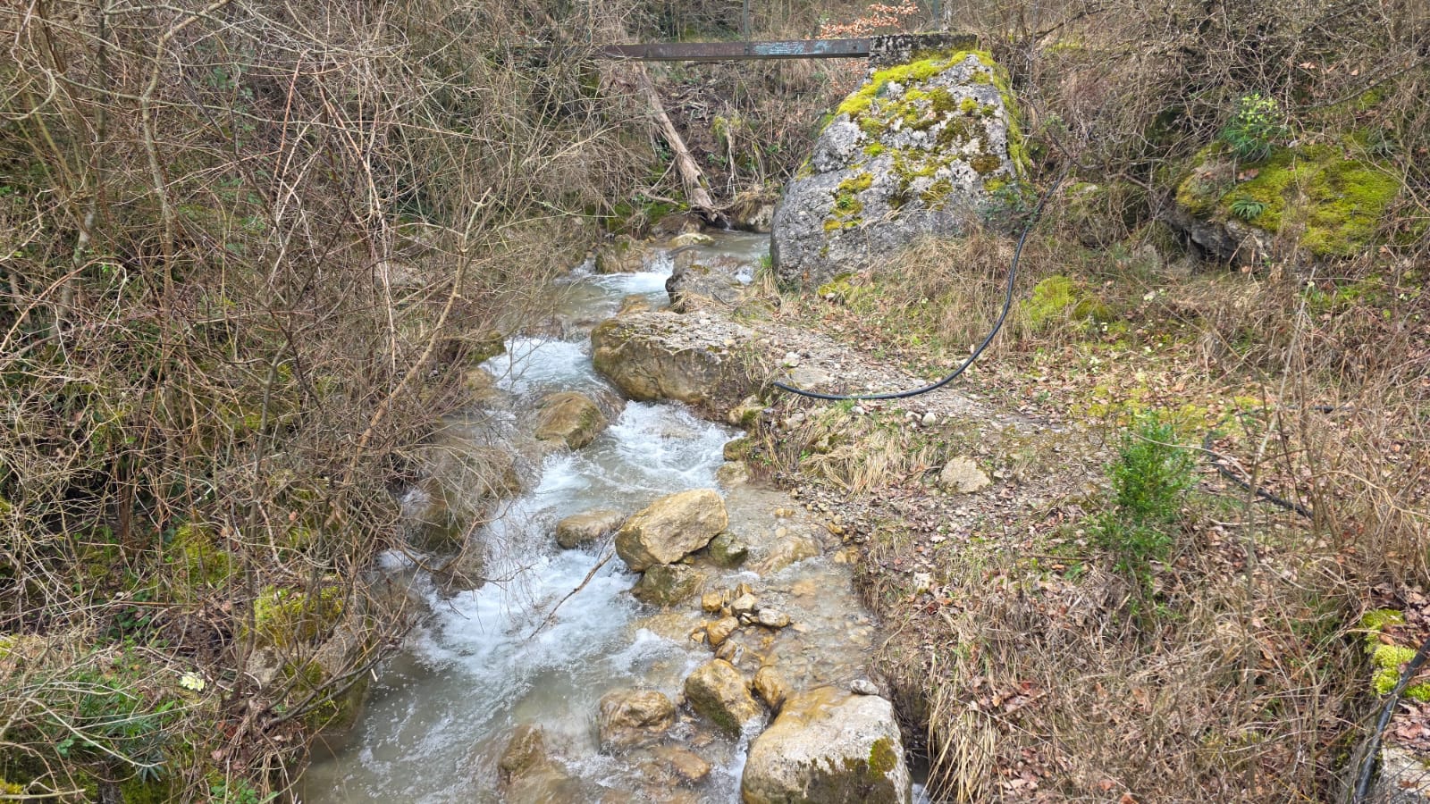 WhatsApp Image 2026 03 01 t 15.22.44