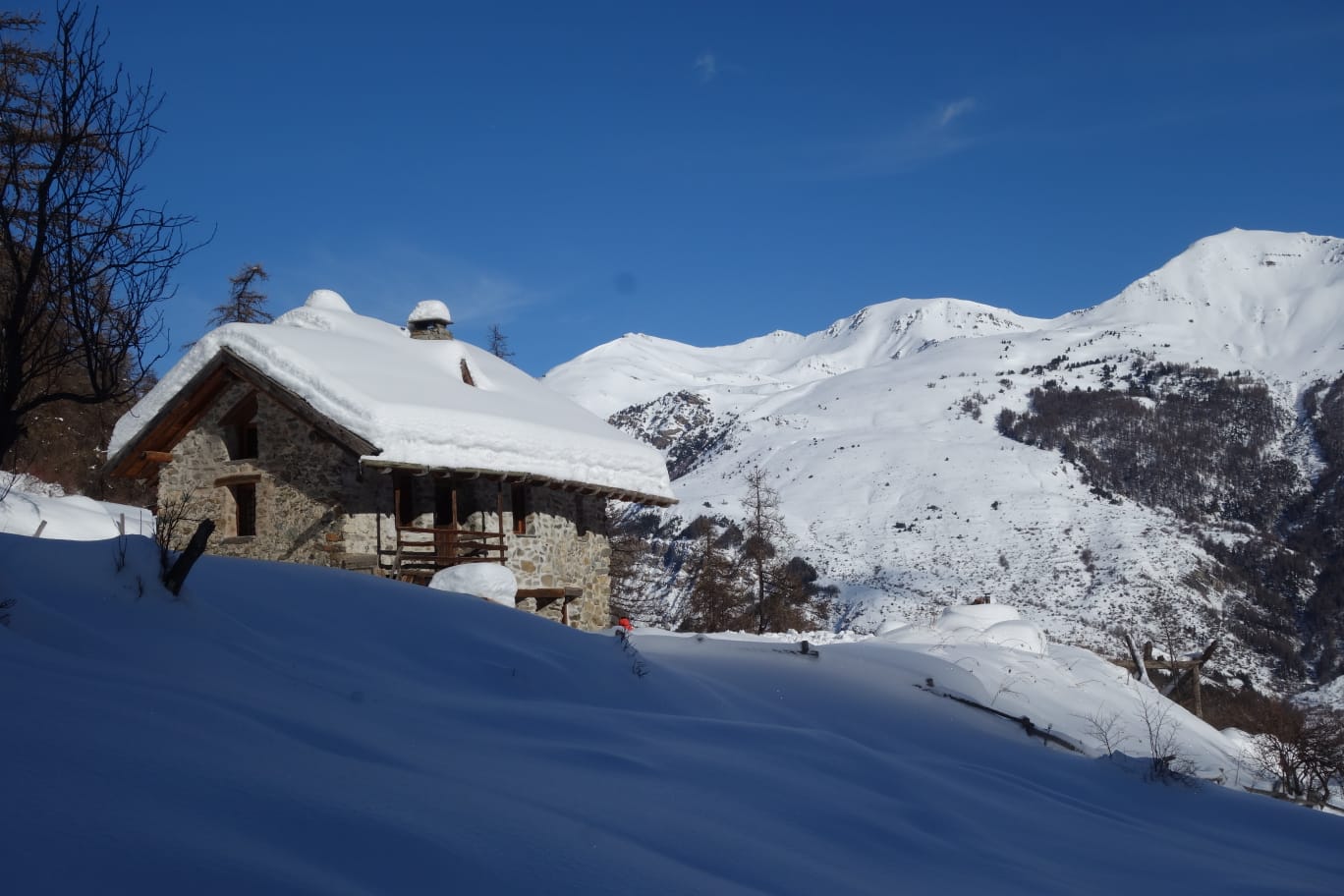 WhatsApp Image 2026 02 02 a17