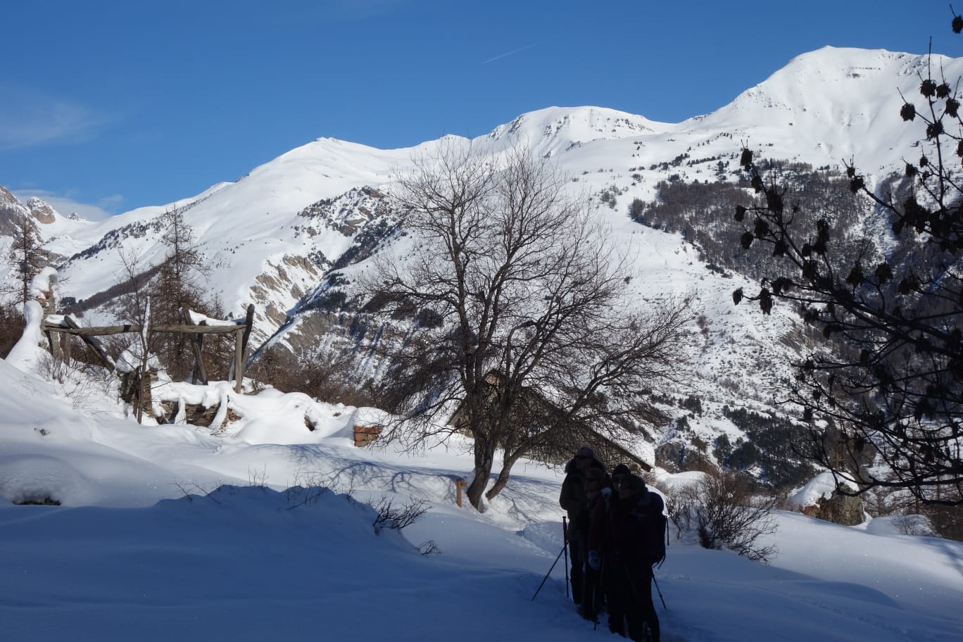 WhatsApp Image 2026 02 02 at 102.19