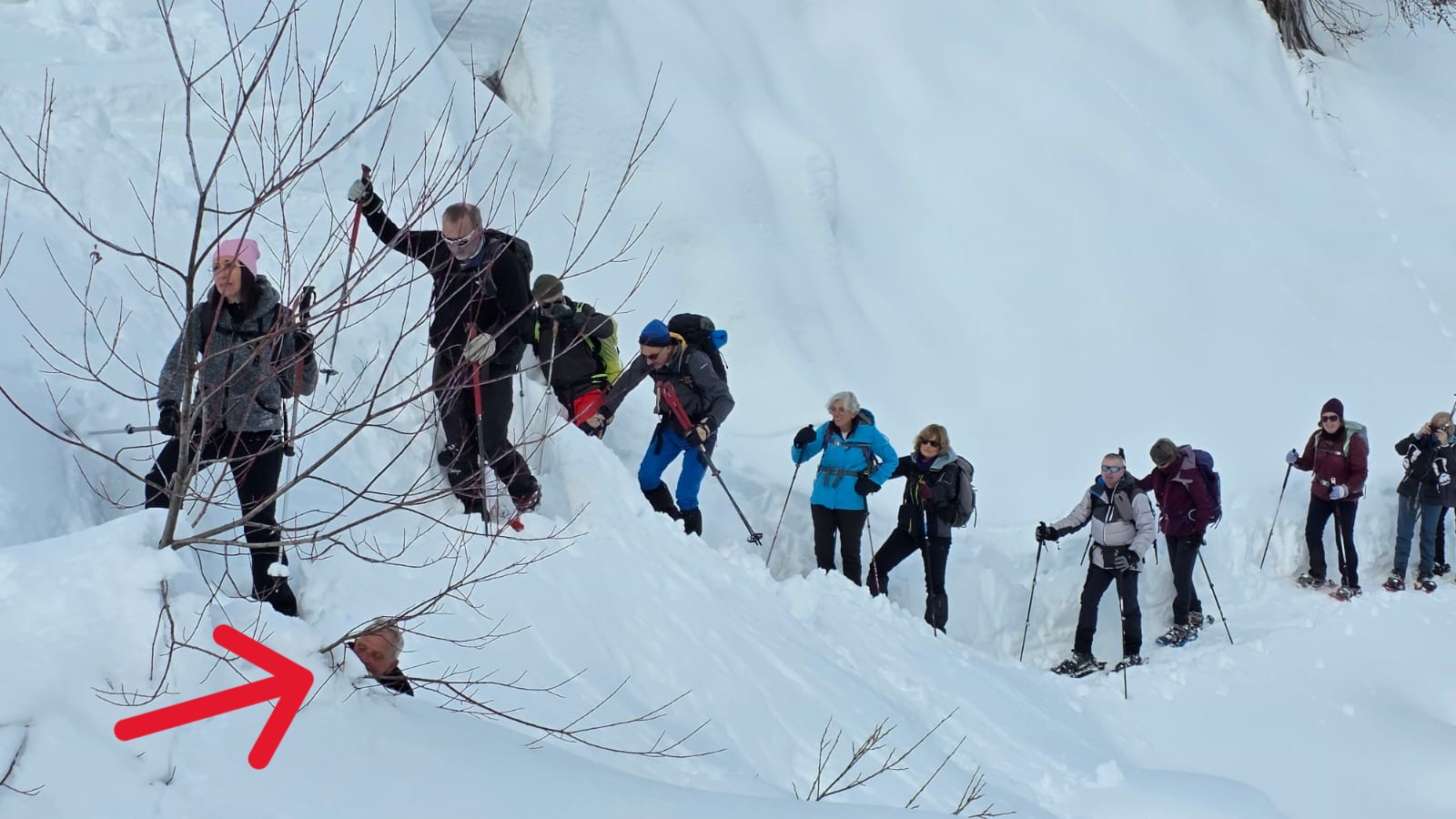 WhatsApp Image 2026 02 02 at 15.419