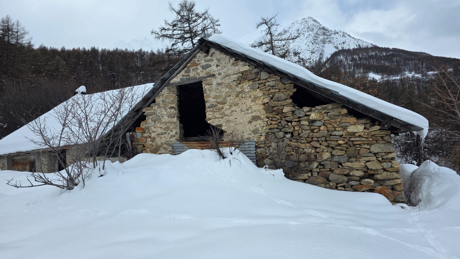 WhatsApp Image 2026 02 02 at 15.46.17