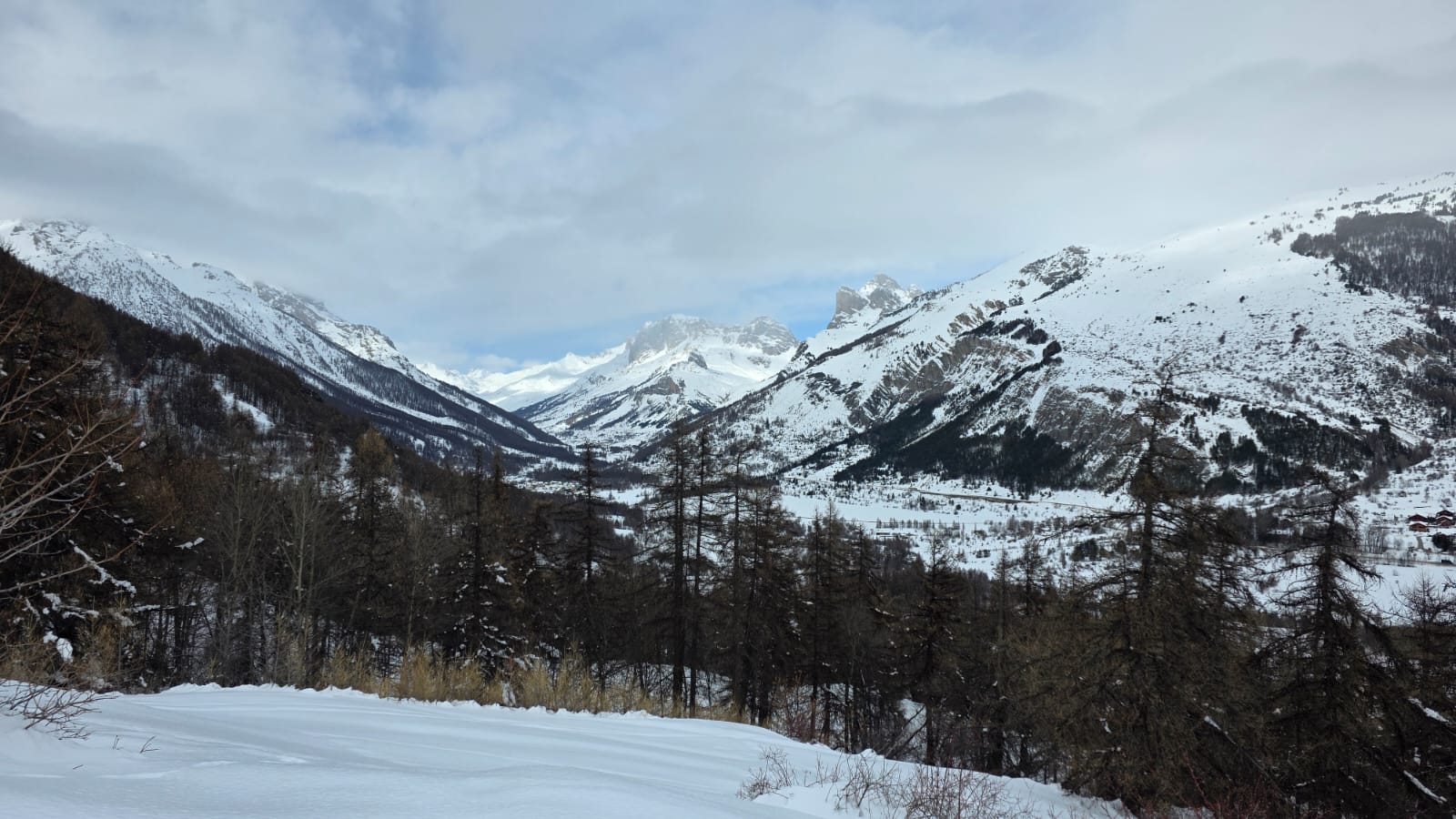 WhatsApp Image 2026 02 02 at 15.46.18