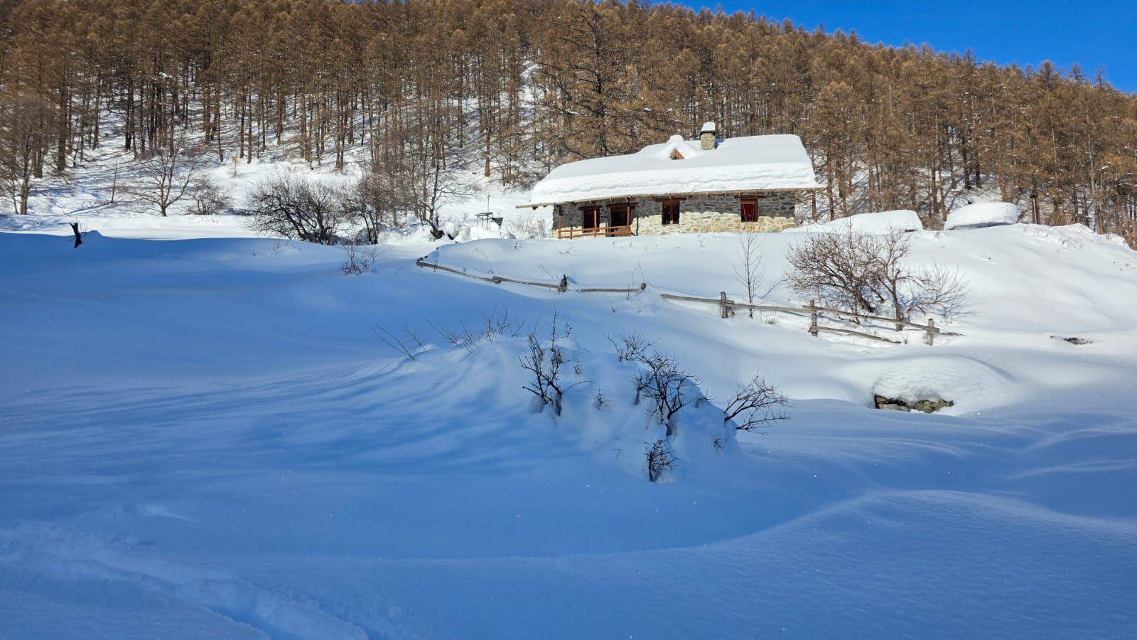 WhatsApp Image 2026 02 02 at 15.46.44