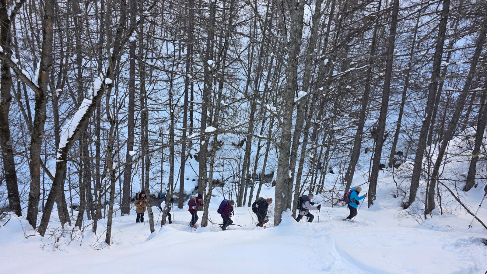 WhatsApp Image 2026 02 02 at 15.47.24