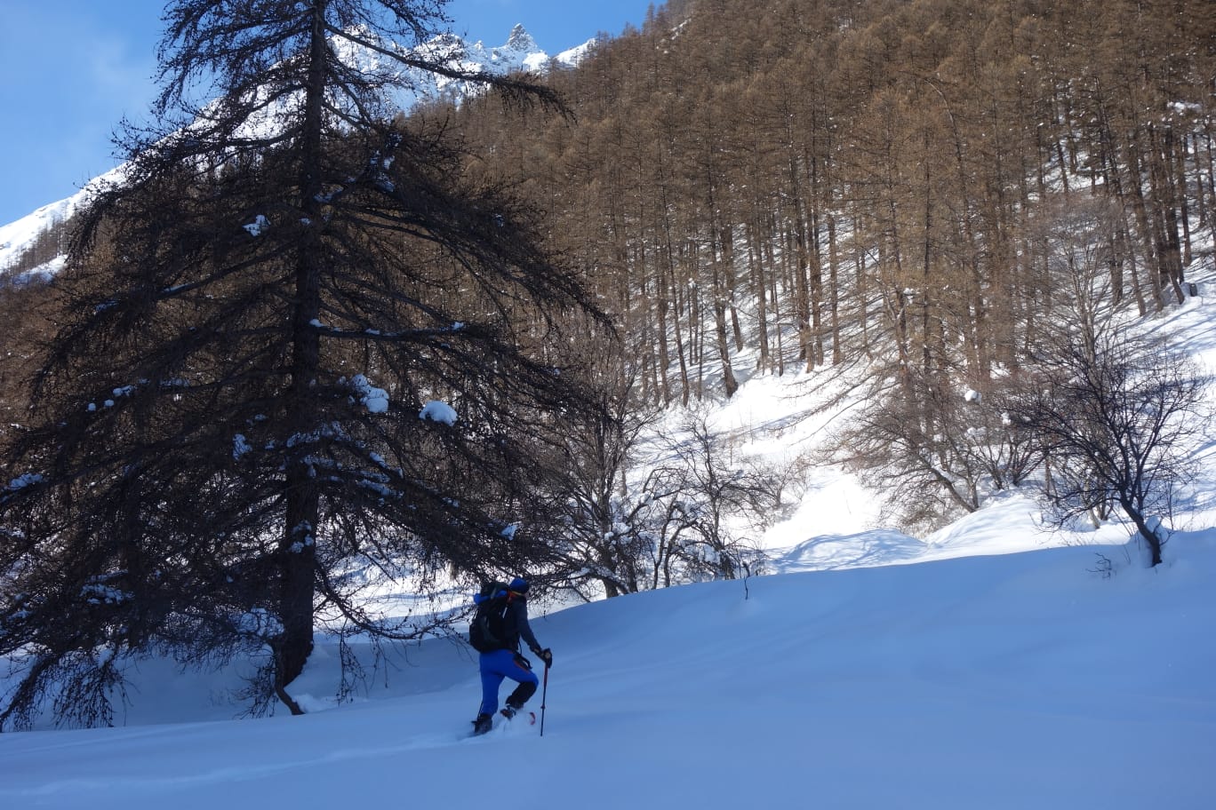 WhatsApp Image 2026 02 02 at 17.02.19