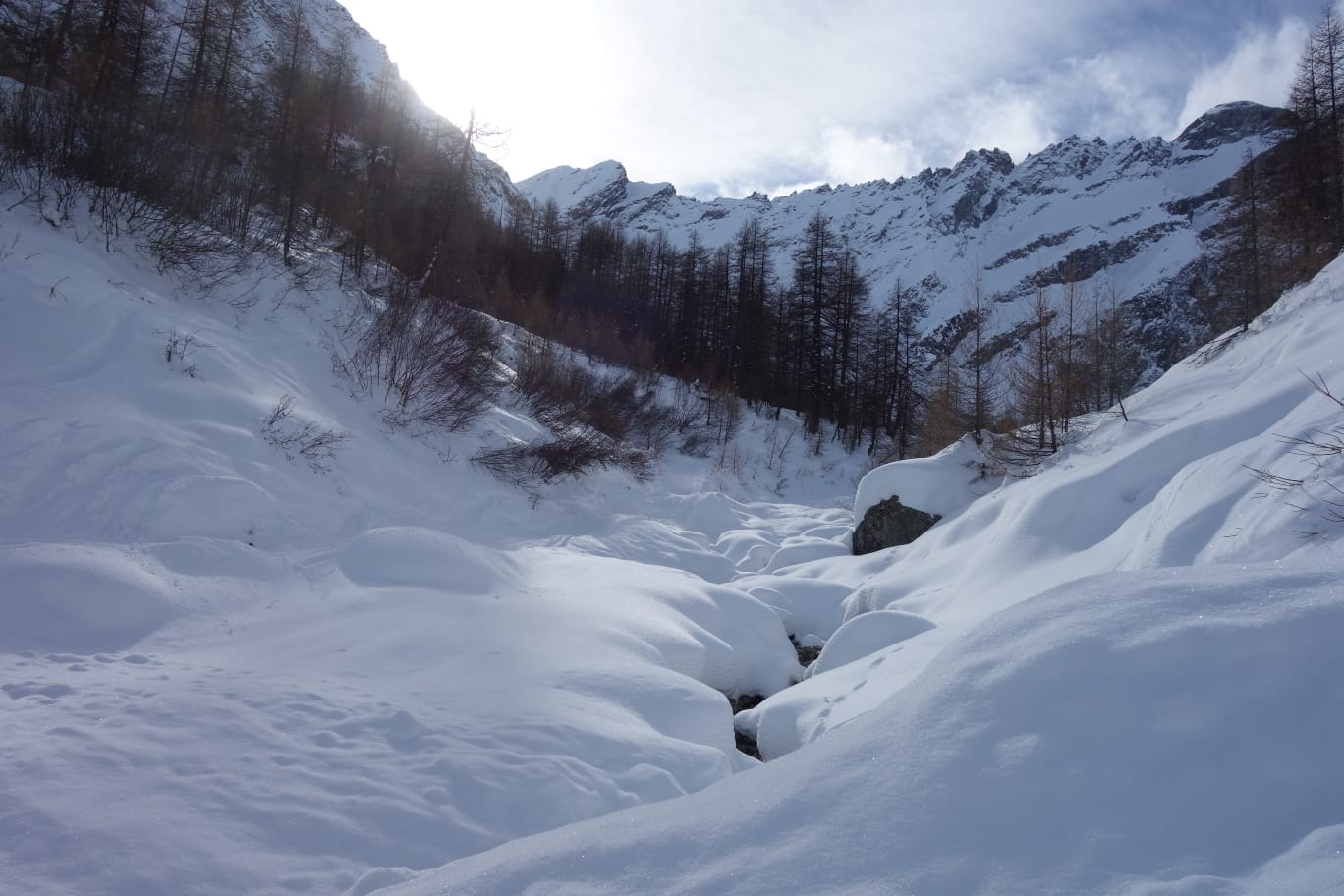 WhatsApp Image 2026 02 02 at 17.02.20