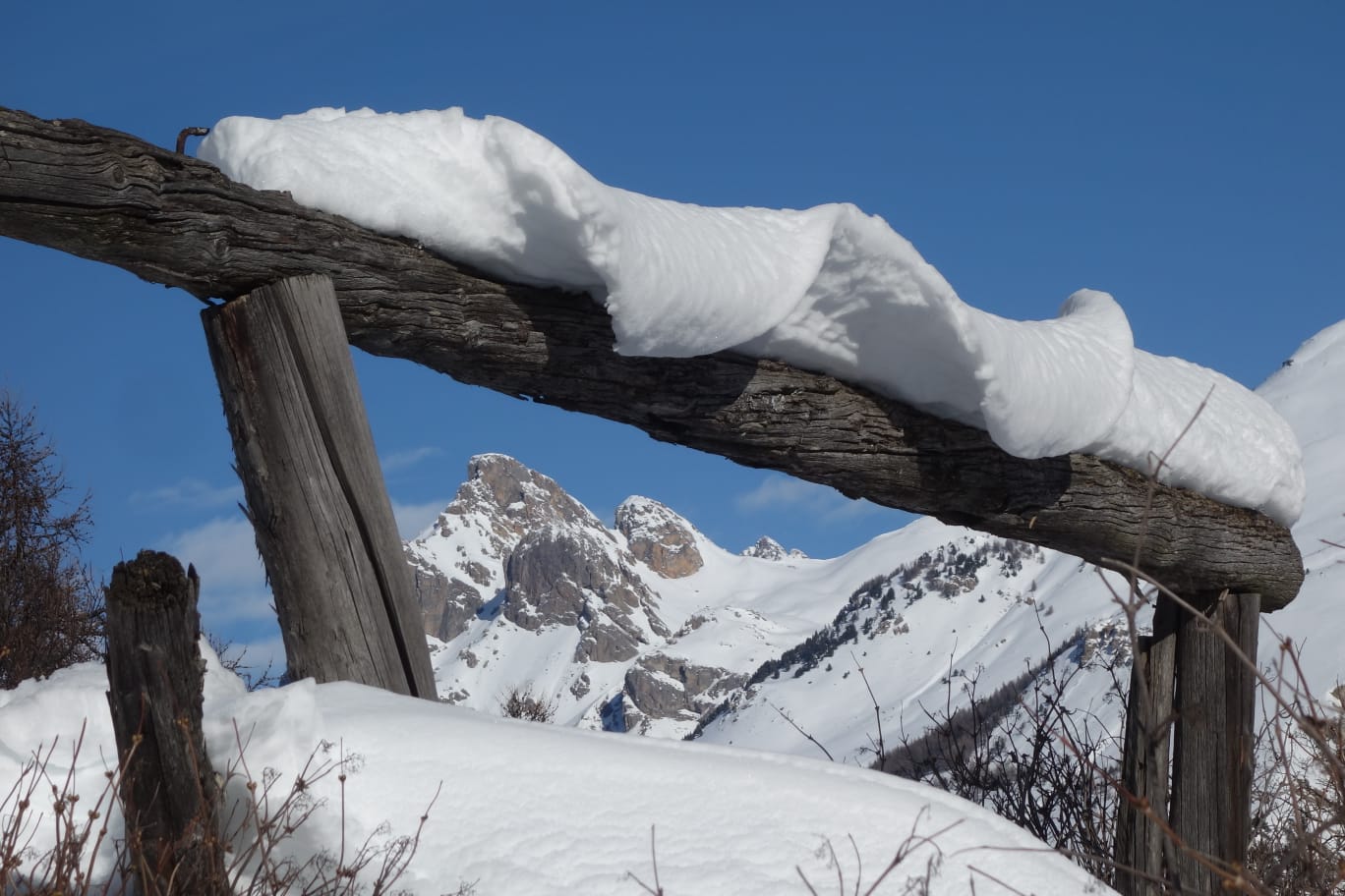 WhatsApp Image 2026 02 02 at 17.020