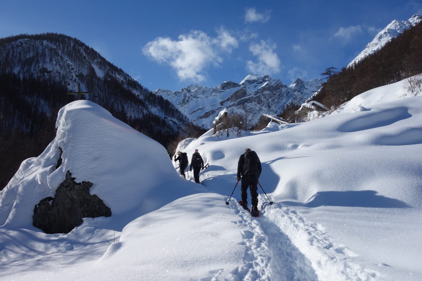 WhatsApp Image 2026 02 02 at 17