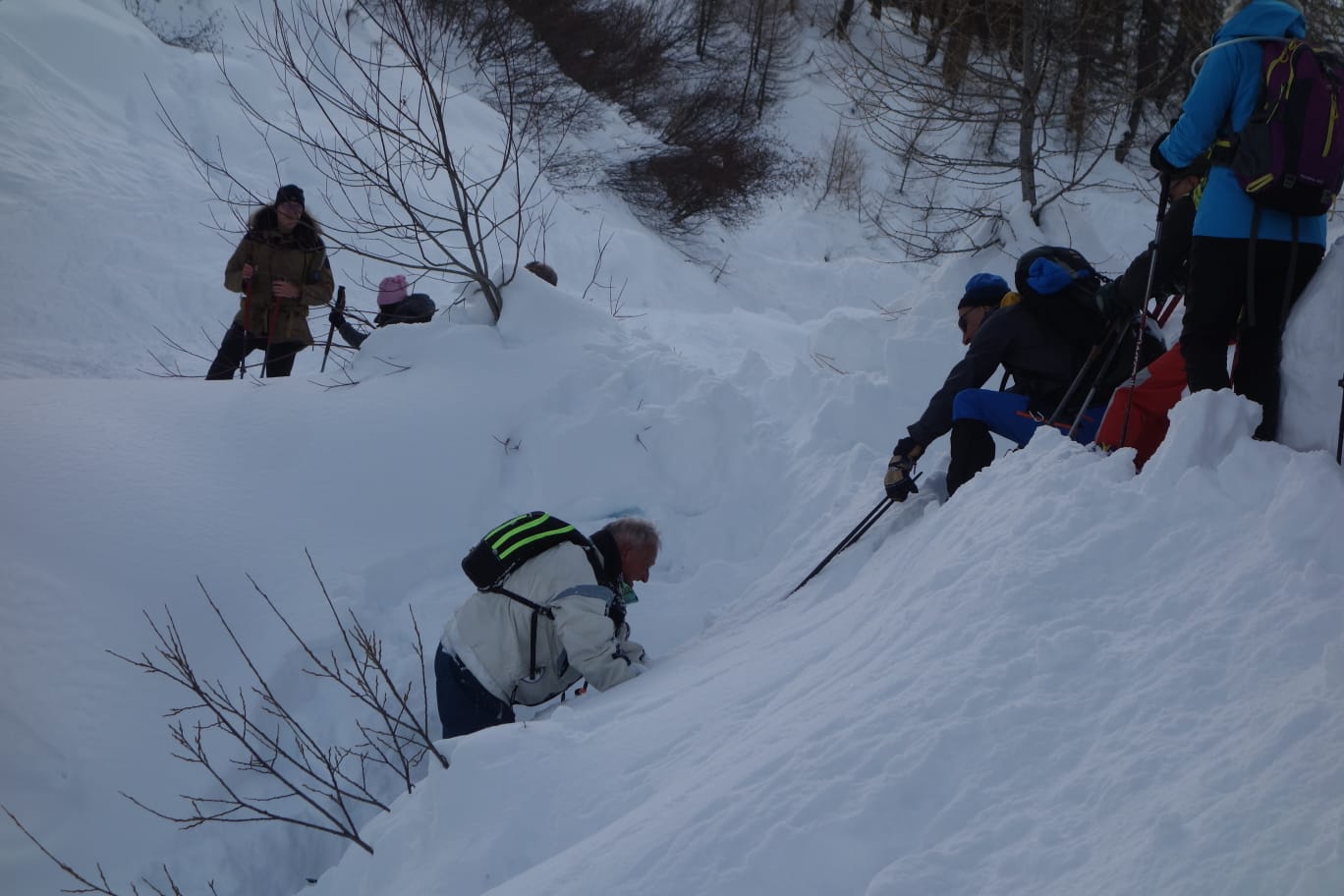 WhatsApp Image 2026 02 02 at 20