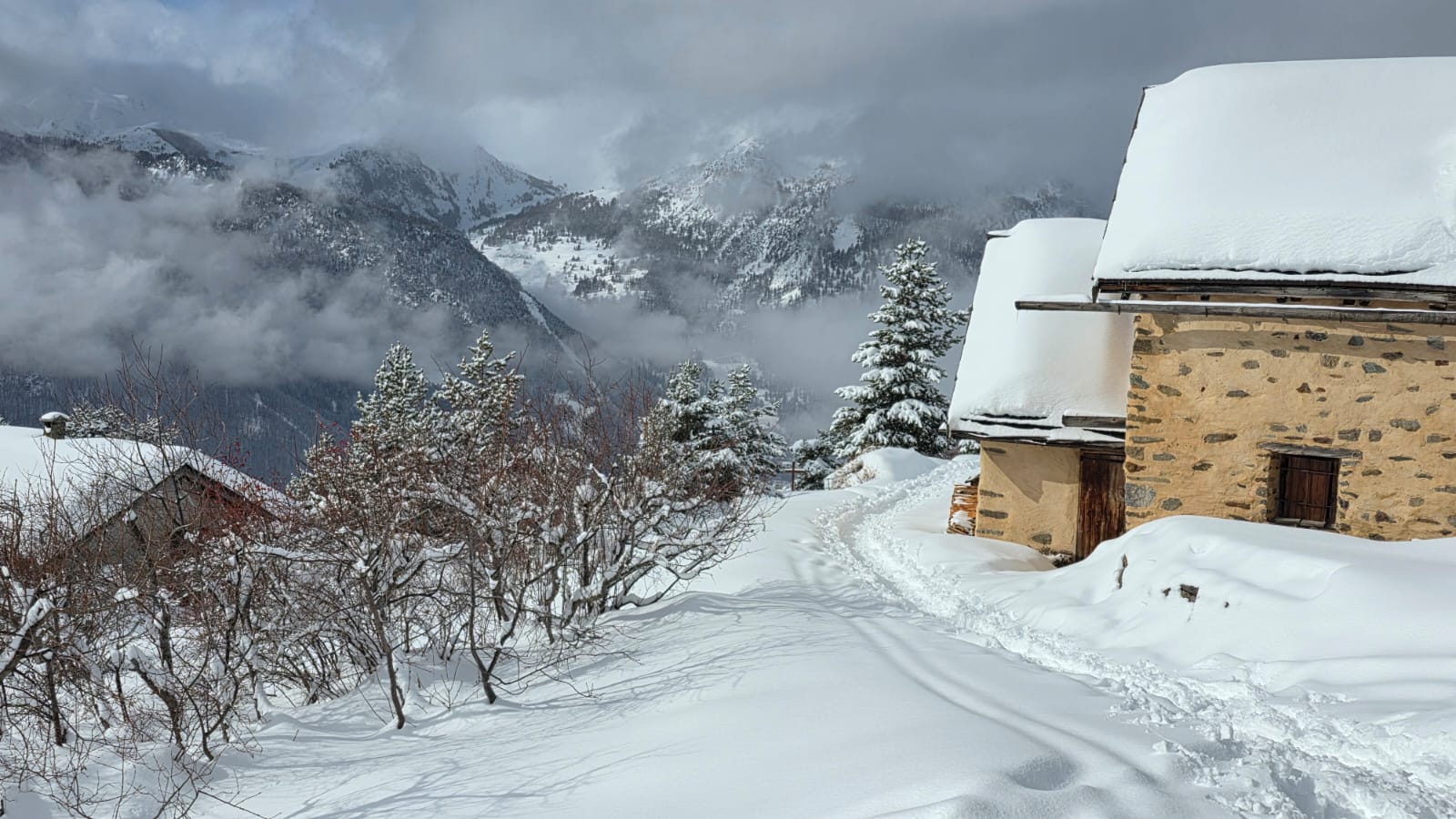 WhatsApp Image 2026 02 03 a 17.10.20