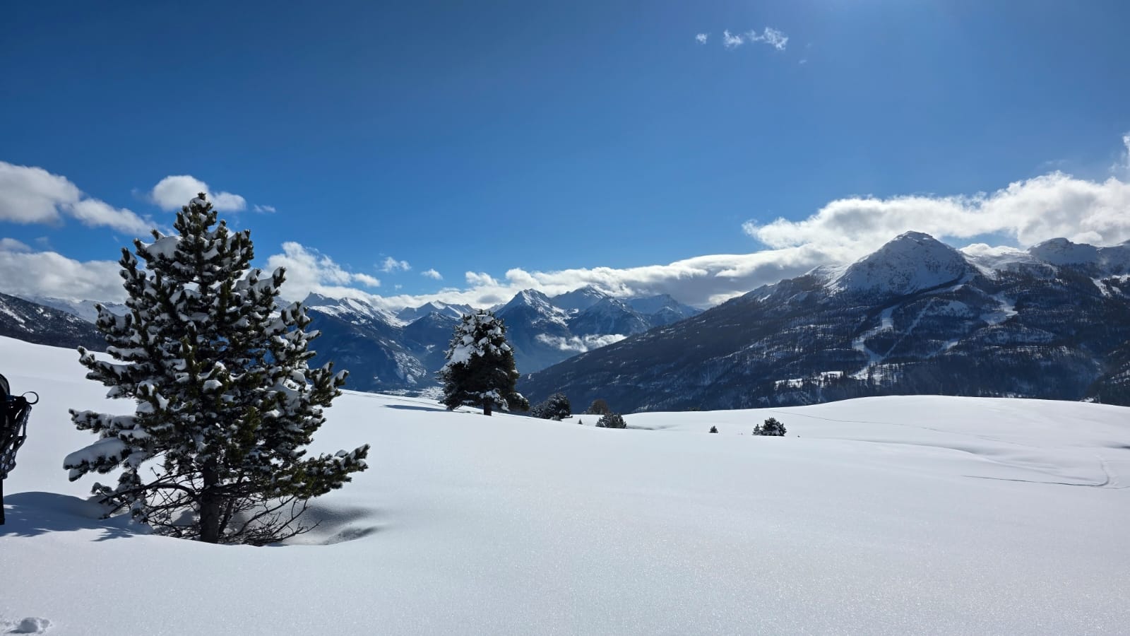 WhatsApp Image 2026 02 03 at 17.10.0