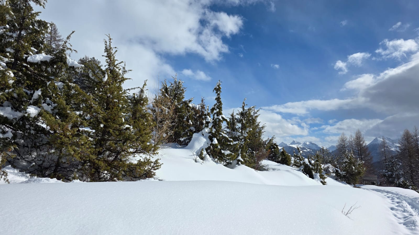 WhatsApp Image 2026 02 03 at 17.10.16