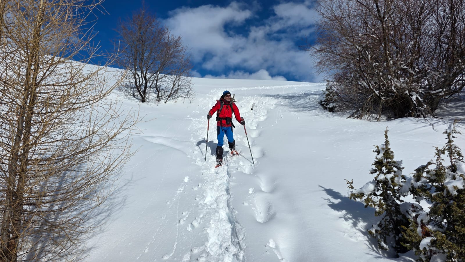 WhatsApp Image 2026 02 03 at 17.10.18