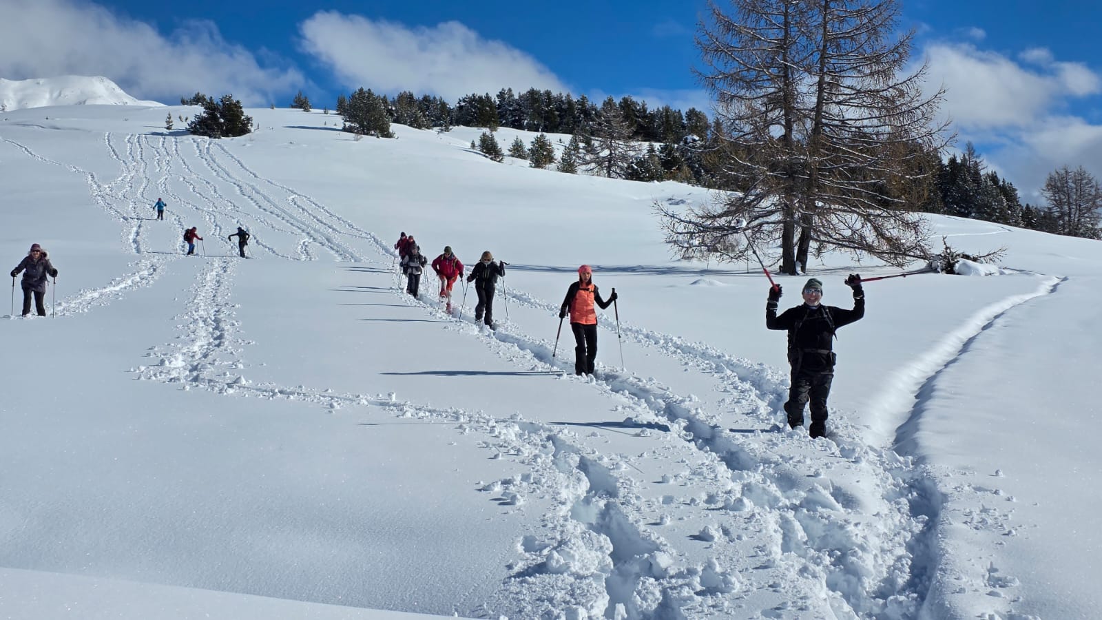 WhatsApp Image 2026 02 03 at 17.10.19