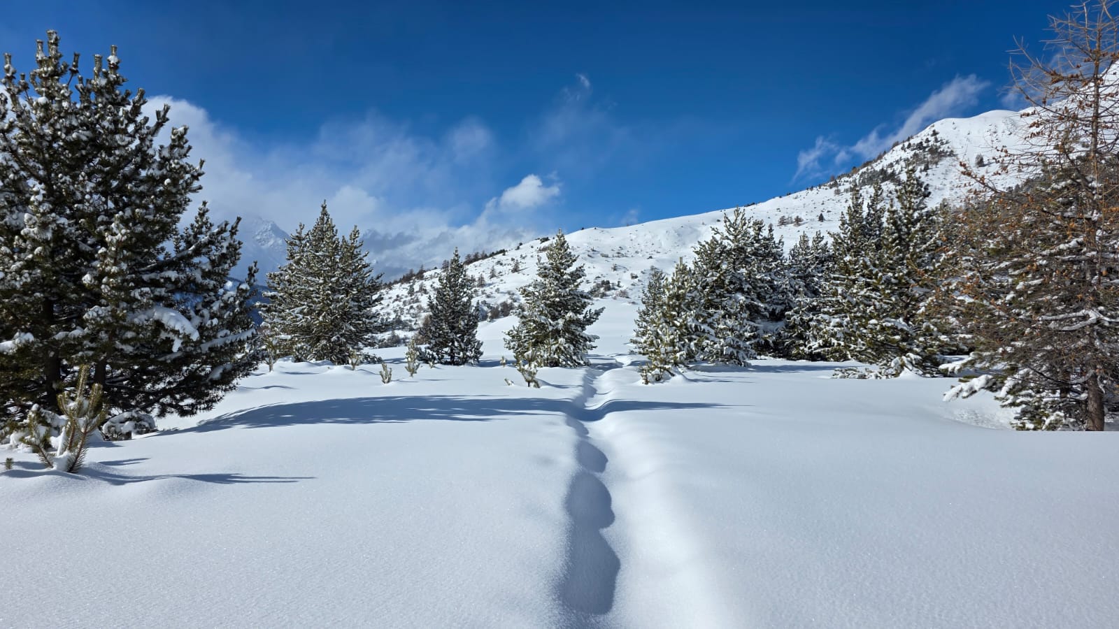 WhatsApp Image 2026 02 03 at 17.10.2