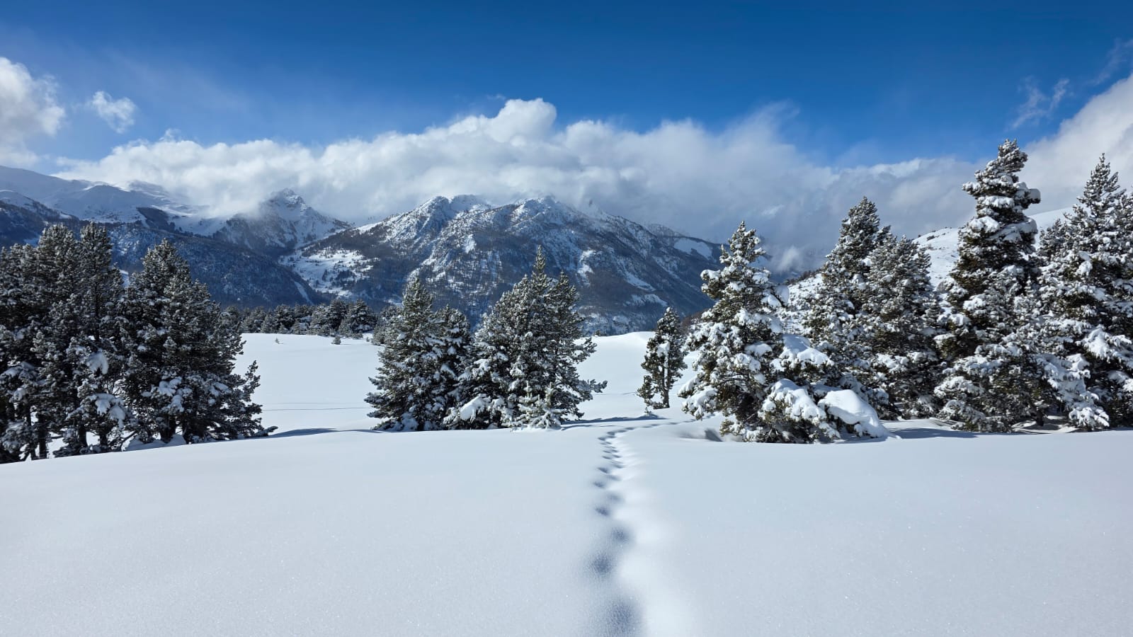 WhatsApp Image 2026 02 03 at 17.10.9