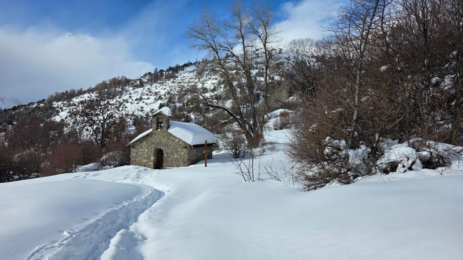 WhatsApp Image 2026 02 03 at 17.11