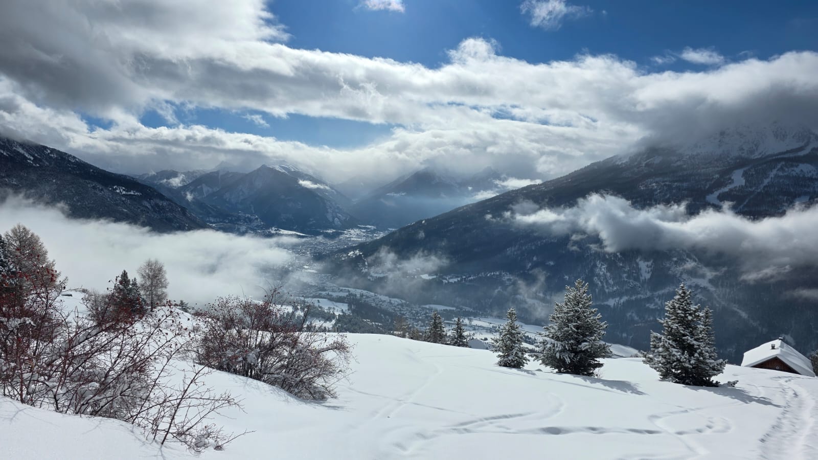 WhatsApp Image 2026 02 03 at 17.22