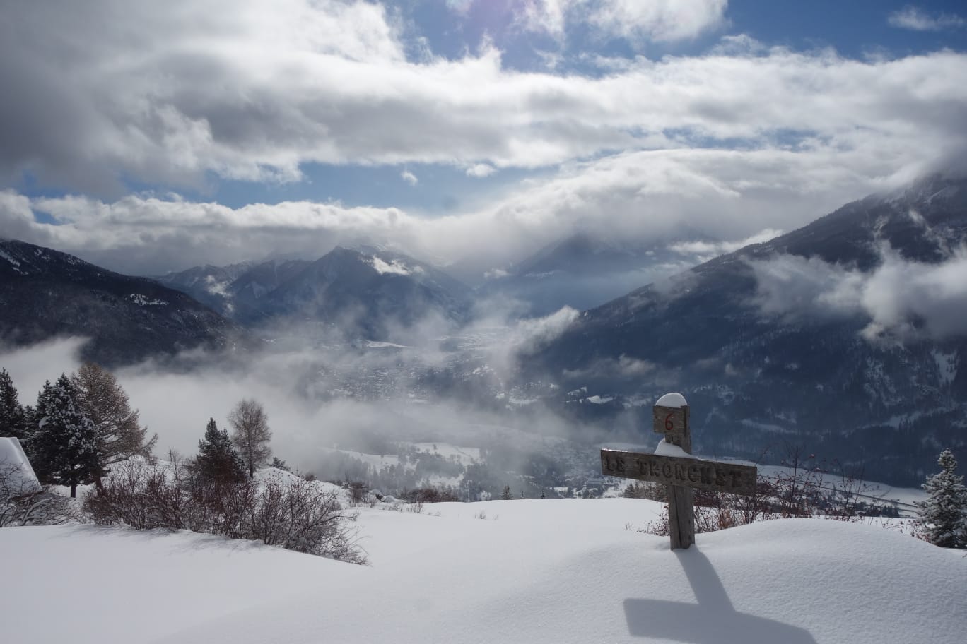 WhatsApp Image 2026 02 03 at 17.43