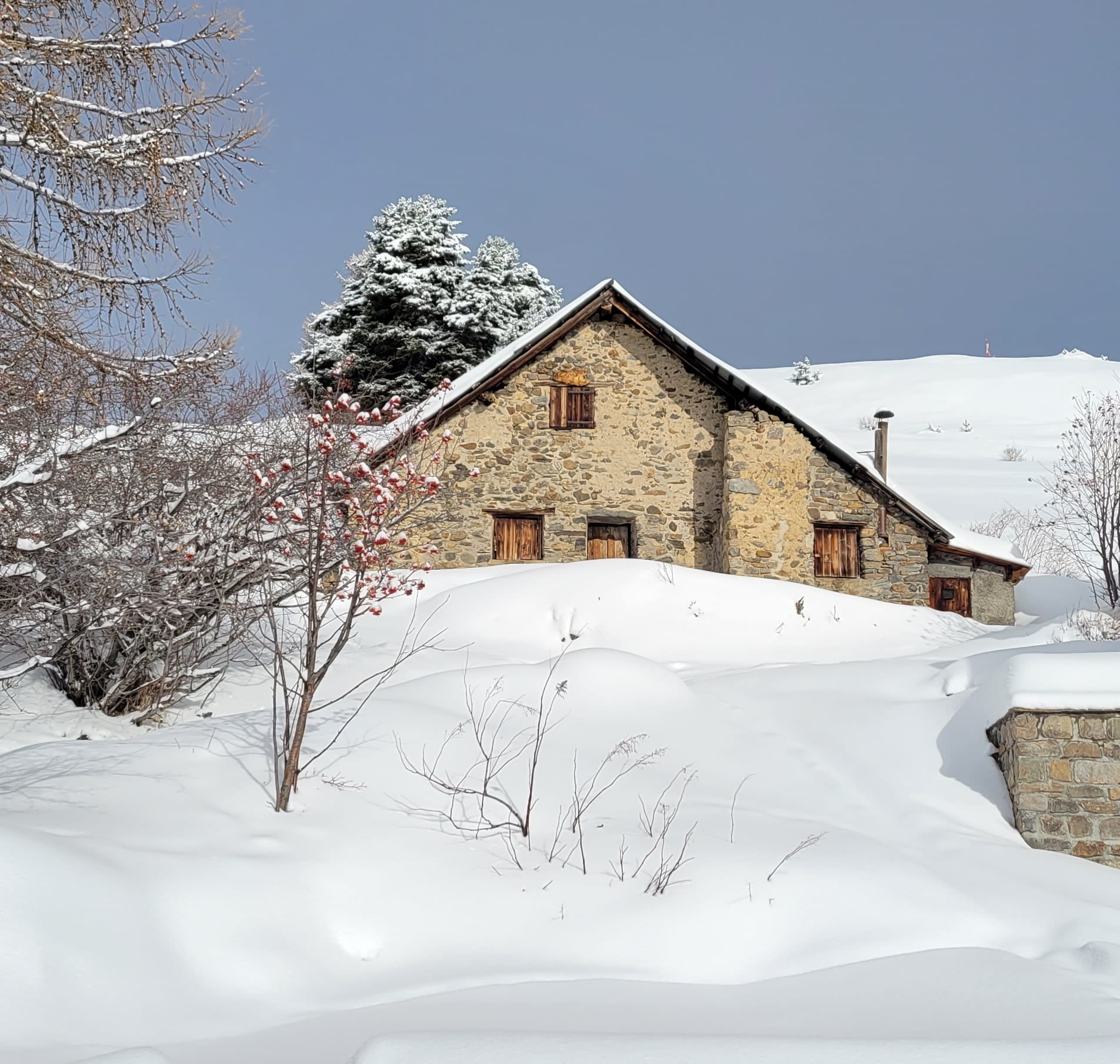 WhatsApp Image 2026 02 03 at 18.03.36