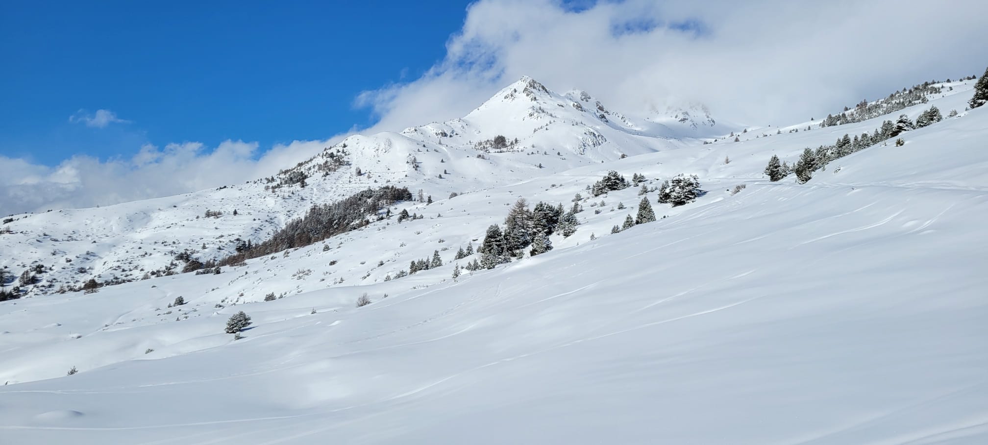 WhatsApp Image 2026 02 03 at 183.37