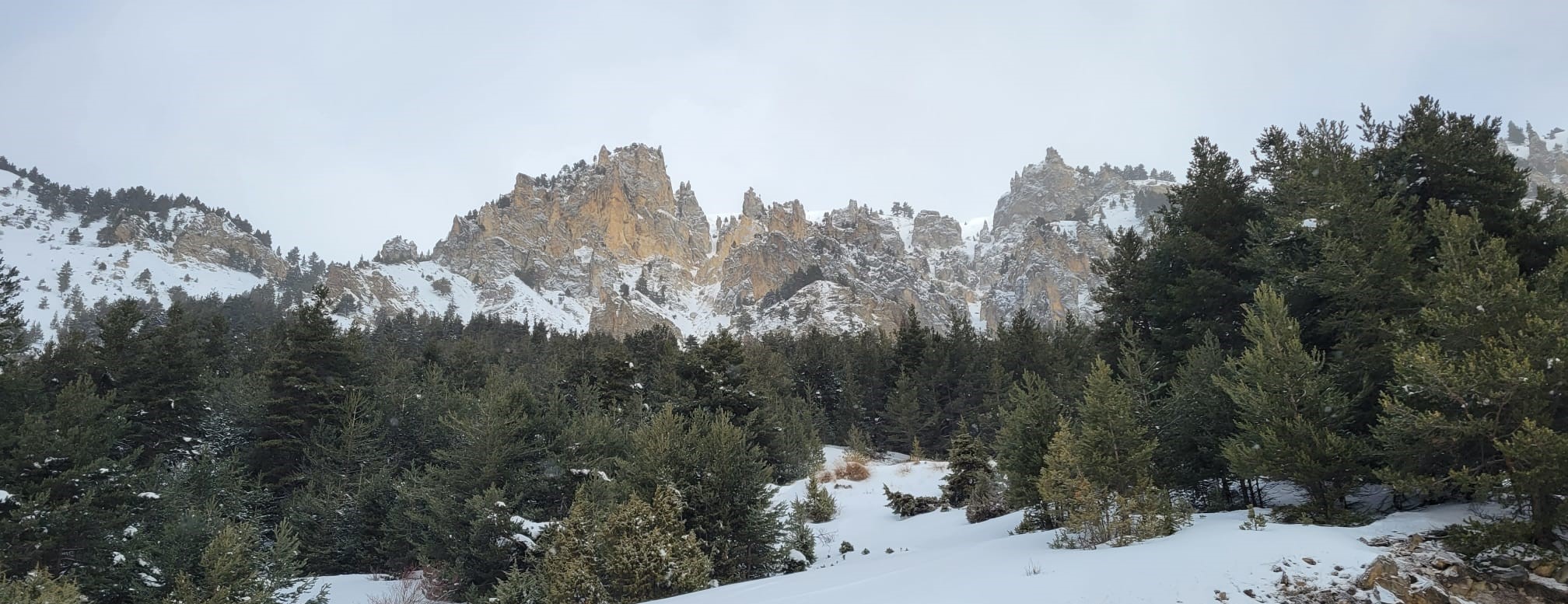 WhatsApp Image 2026 02 04 at 20.18.32