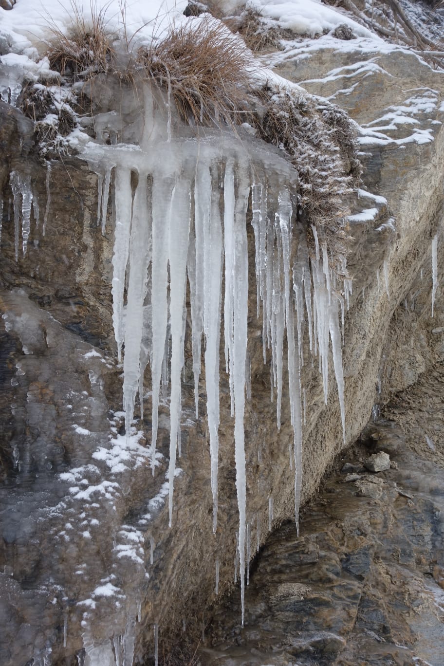 WhatsApp Image 2026 02 04 at 21.09.03