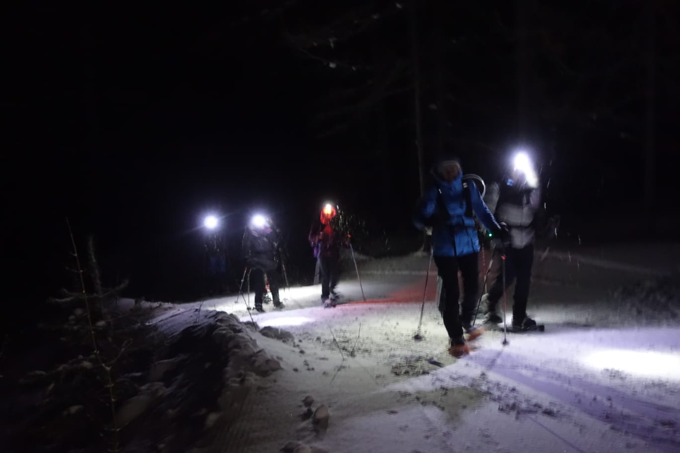 WhatsApp Image 2026 02 06 at 07.17.42