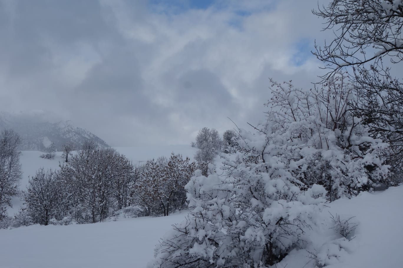 WhatsApp Image 2026 02 06 at 14.41.00