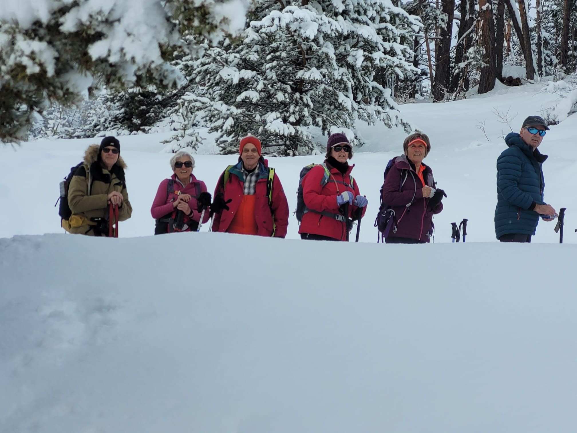 WhatsApp Image 2026 02 06 at 21.28.45