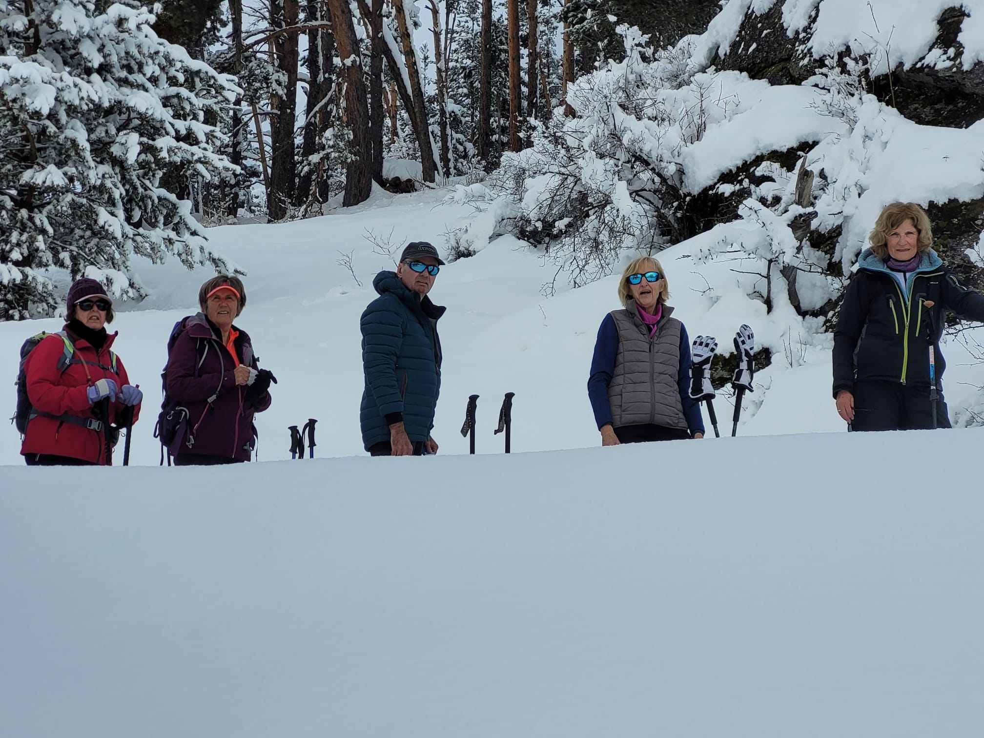 WhatsApp Image 2026 02 06 at 21.28.46