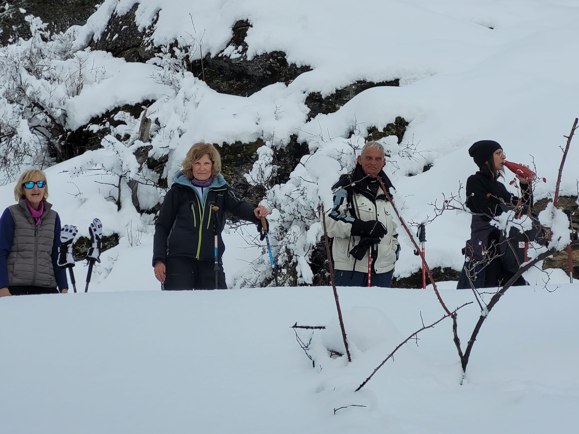 WhatsApp Image 2026 02 06 at 2128.46