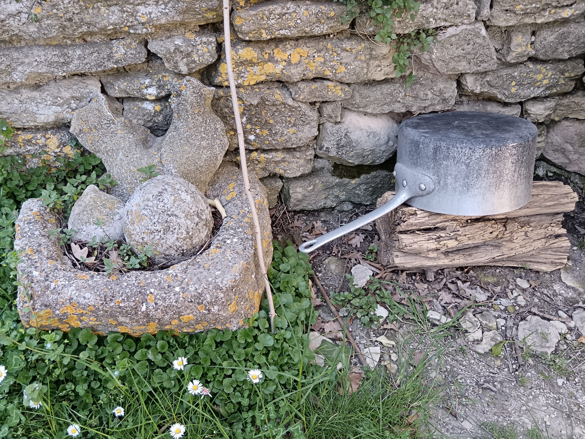 WhatsApp Imageo 04 08 at 15.38.24