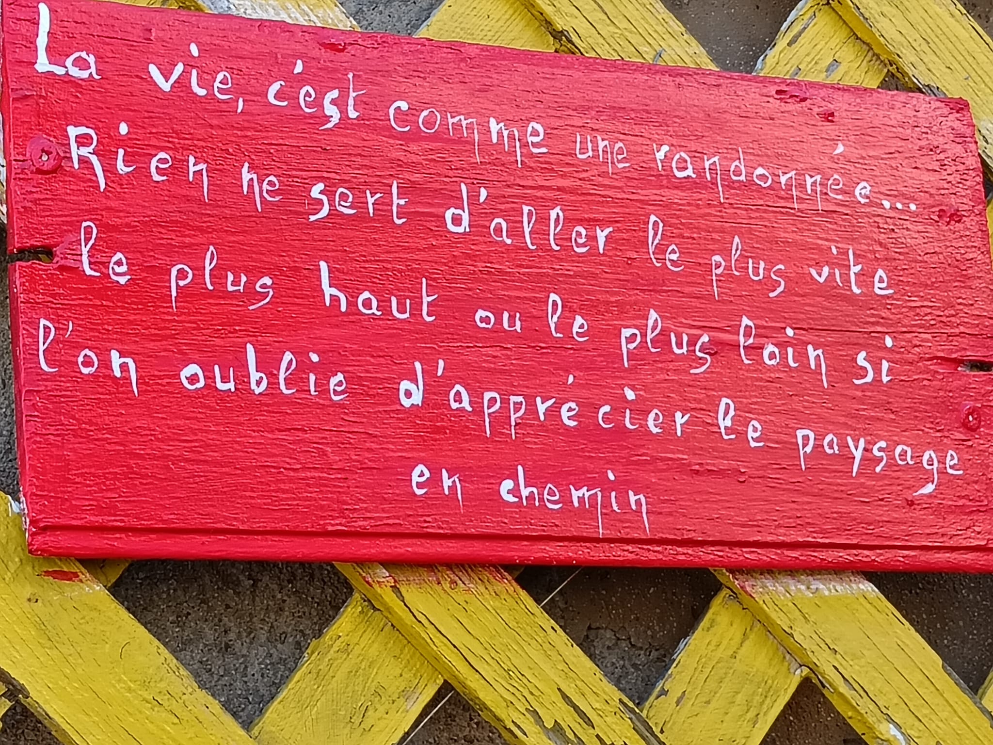 WhatsApp Imao08 at 15.38.21