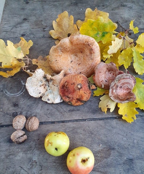 WhatsApp Image 2025 10 05 à 20.13.41 c8498ca4