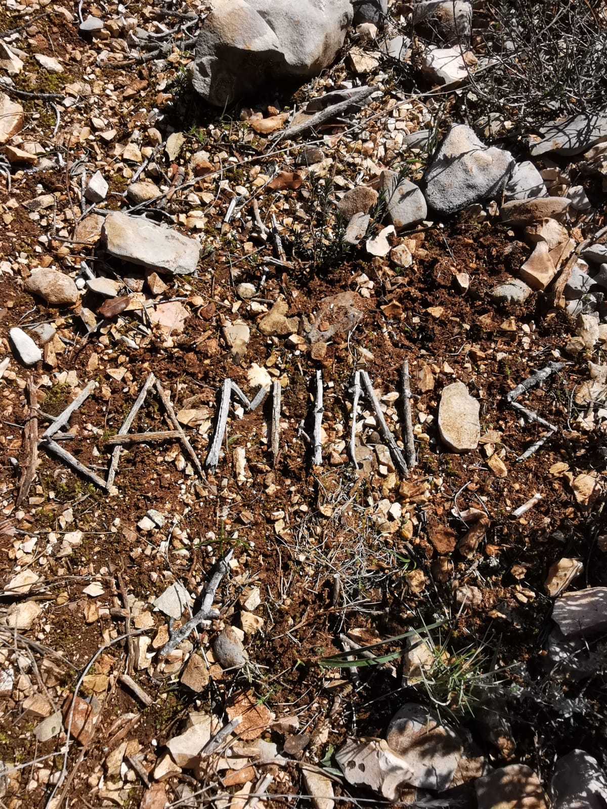 WhatsApp Image 2026 03 12 at 18.55.29