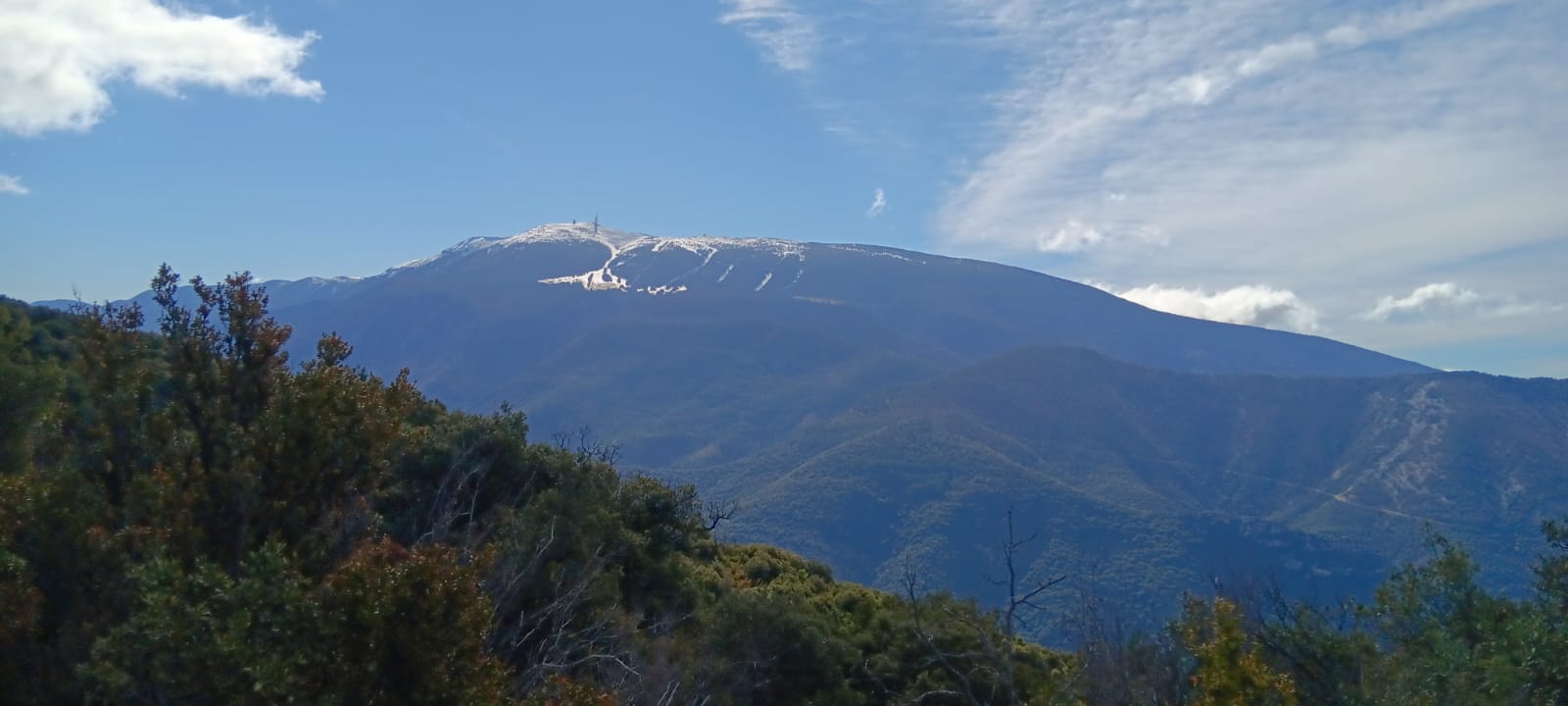 WhatsA26 03 12 at 20.06.36