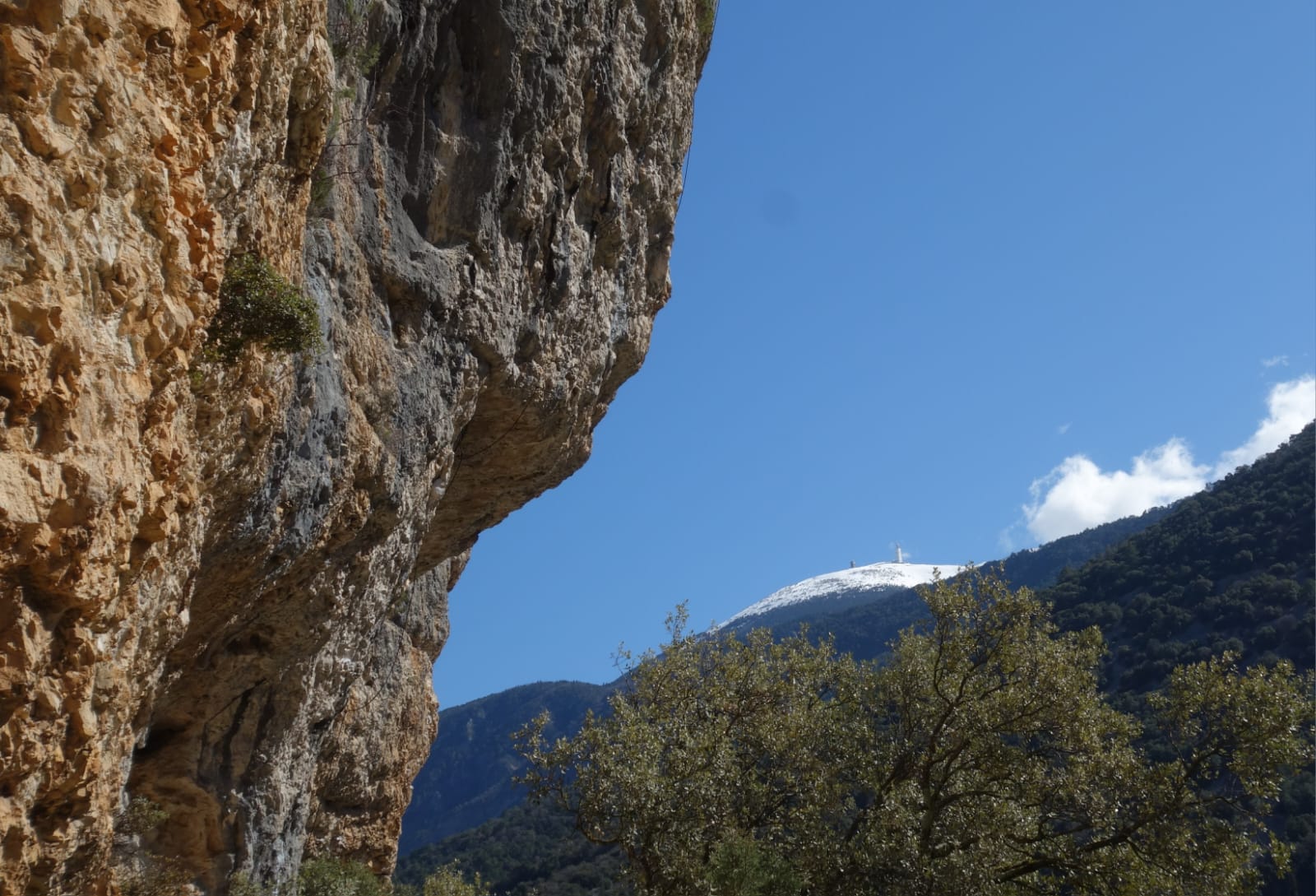 WhatsApp Image 20203 12 at 18.45.39