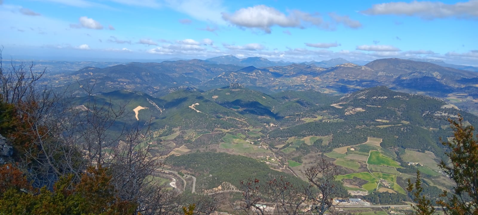 WhatsApp Image 2026 03 1.06.37